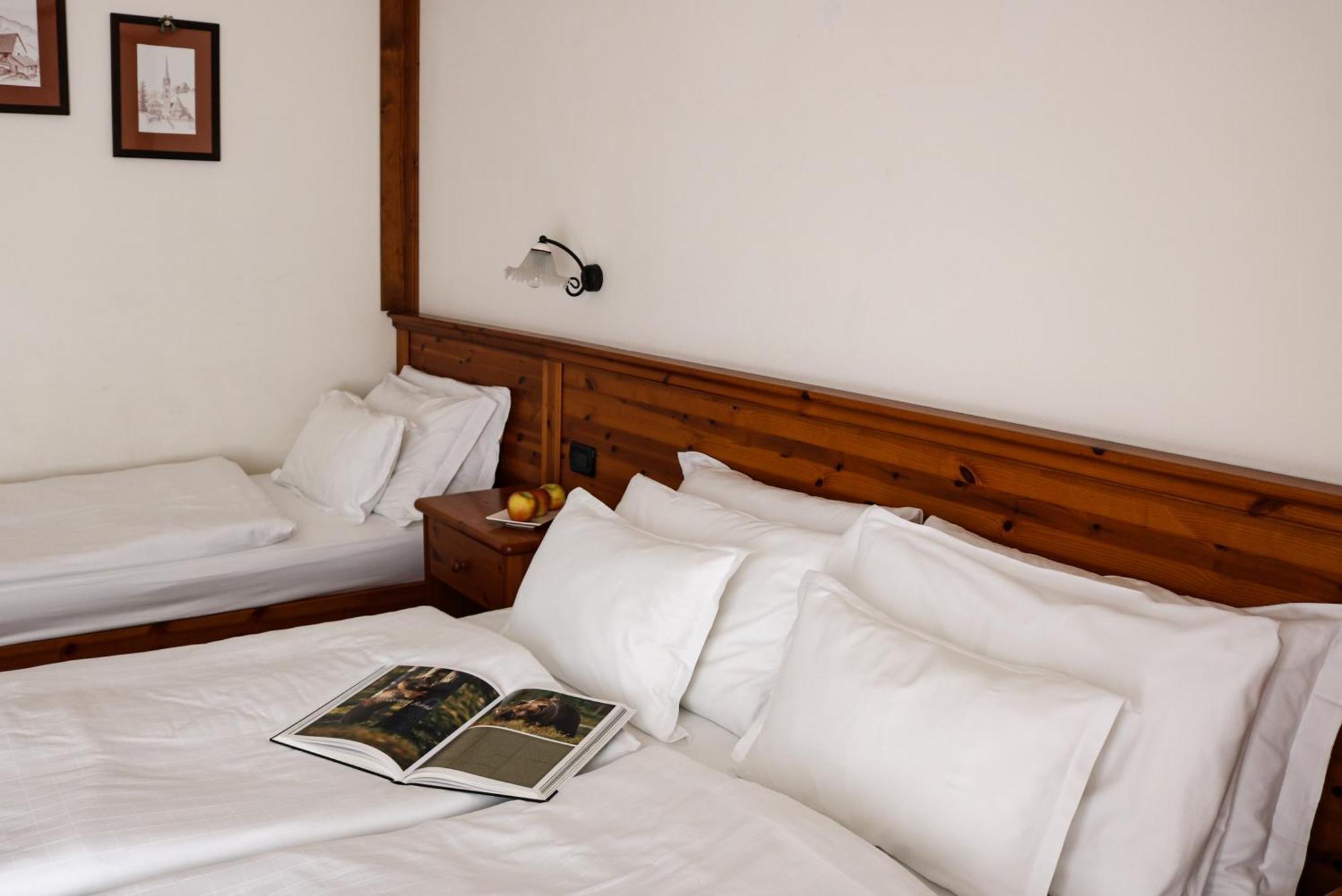 Hotel Garni Civetta Selva di Cadore Extérieur photo